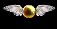 owl.gif